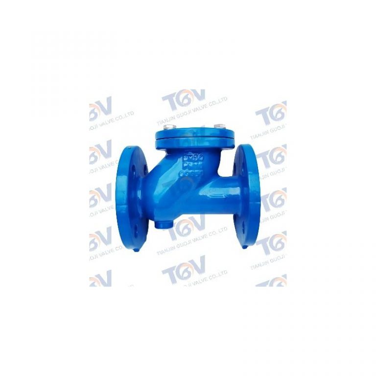 Ball Check Valve (3)