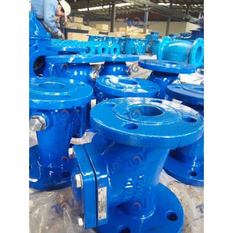 Ball Check Valve (4)