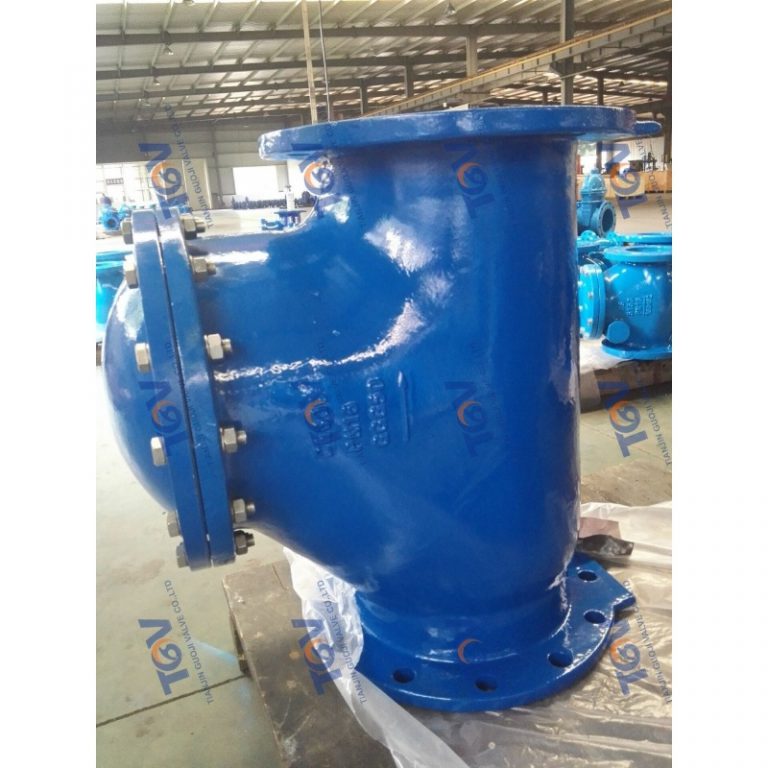 Ball Check Valve (6)