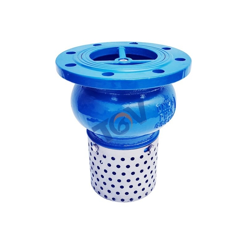 صمام قدم الحديد الزهر (3)