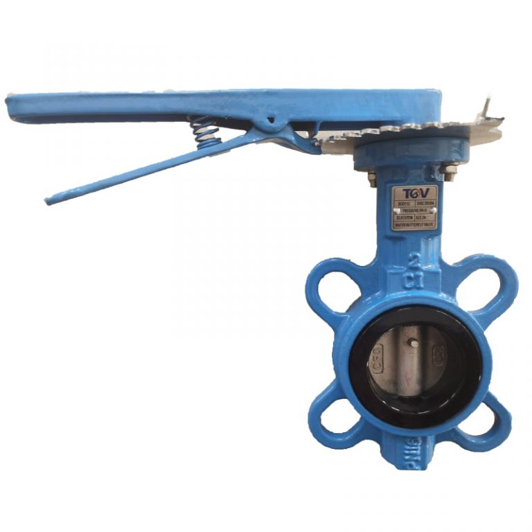 Cast Iron Wafer Universal Butterfly Valve (2)