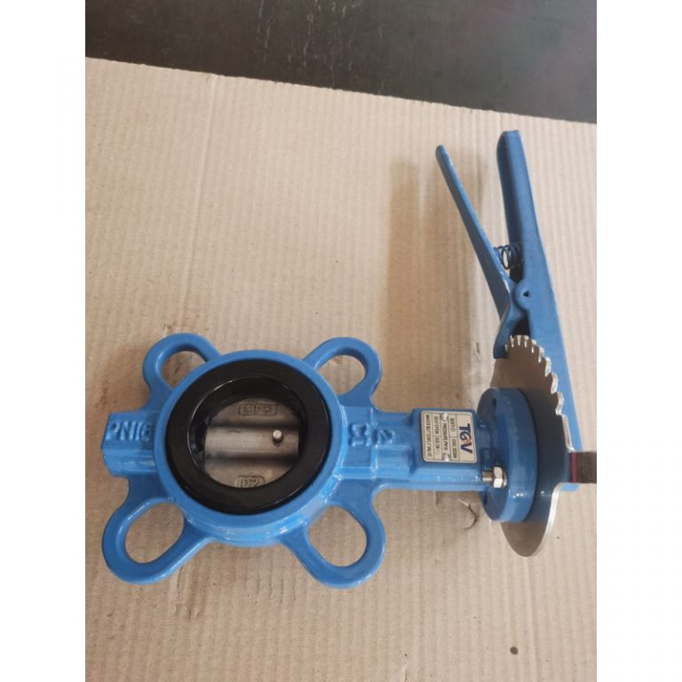 Cast Iron Wafer Universal Butterfly Valve (5)