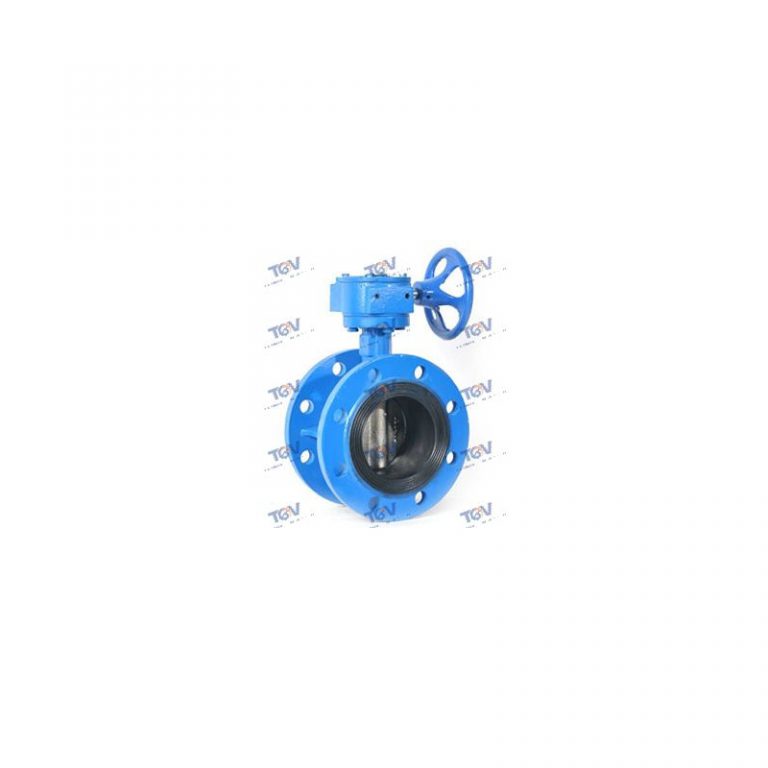 Concentric Flanged Butterfly Valve (6)