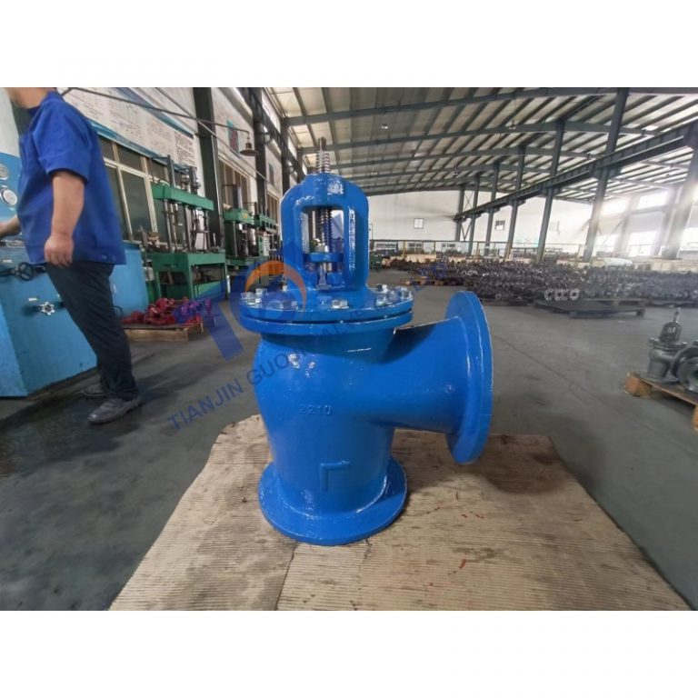 DIN Angle Globe Valve (3)