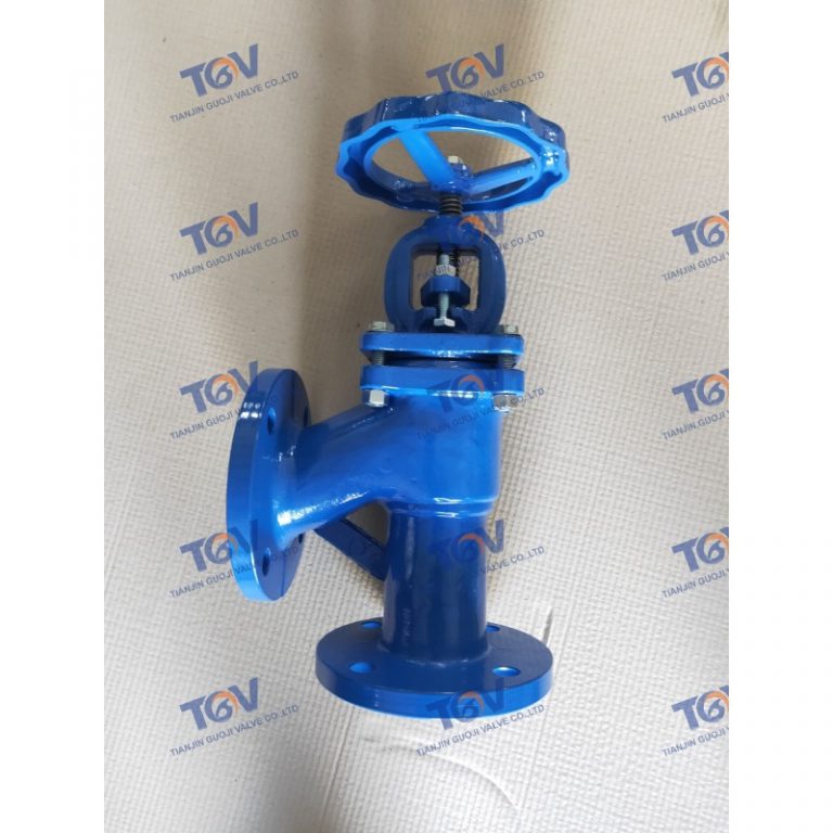 DIN Angle Globe Valve (4)
