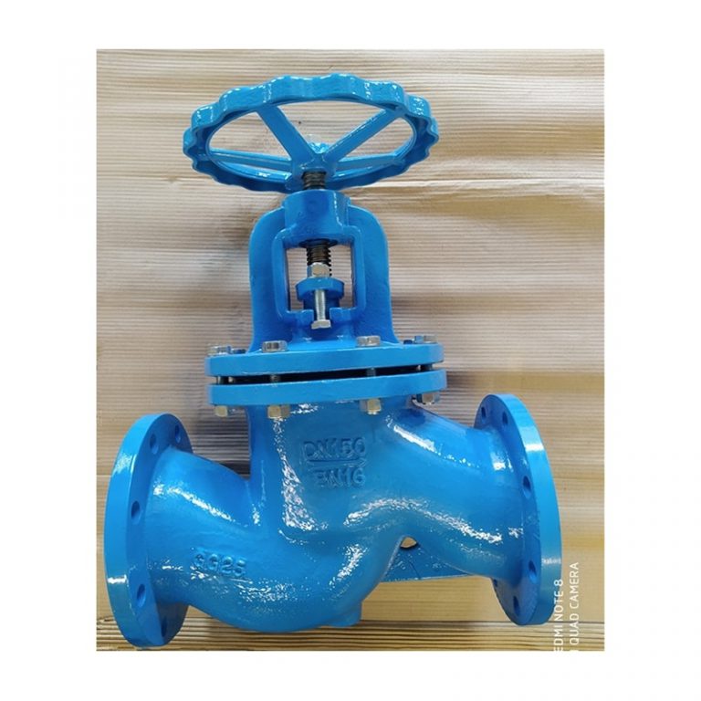 DIN Globe Valve (1)