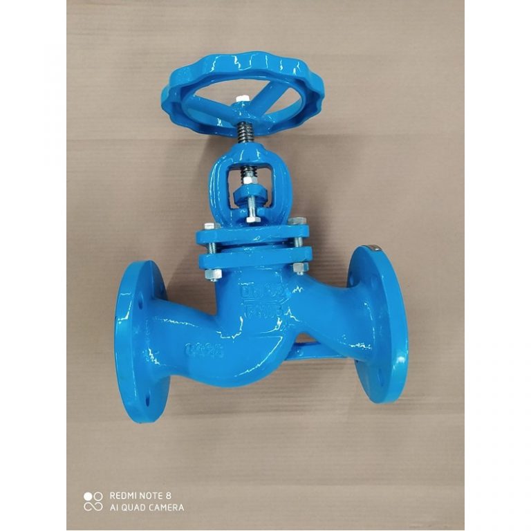 DIN Globe Valve (2)