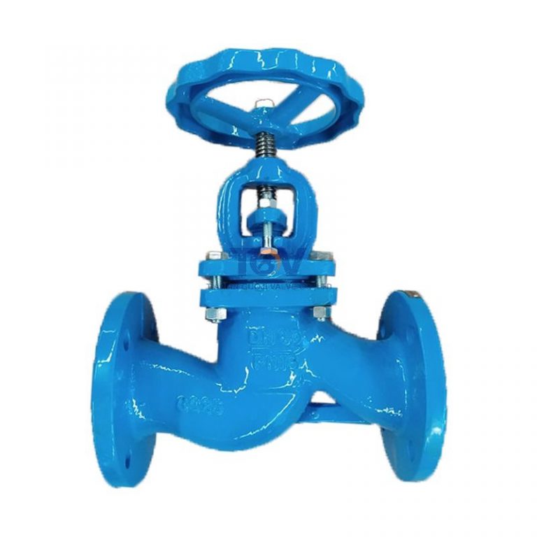 DIN Globe Valve (4)