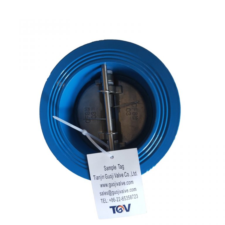 DUO Disc Check Valve (2)