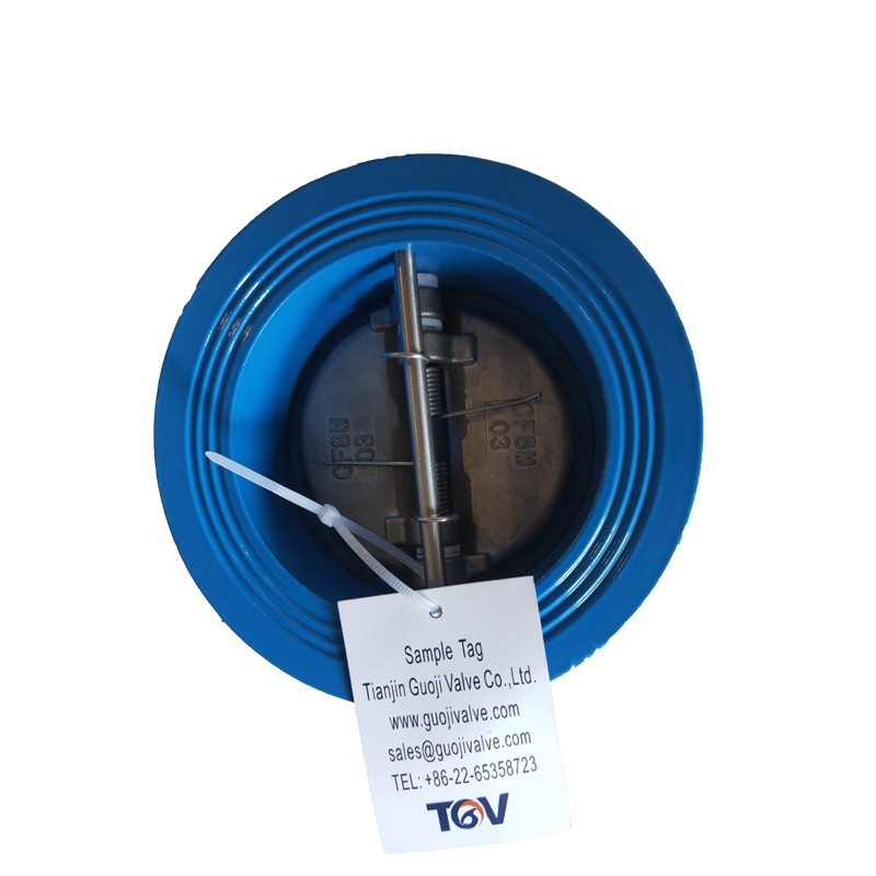 DUO Disc Check Valve (2)