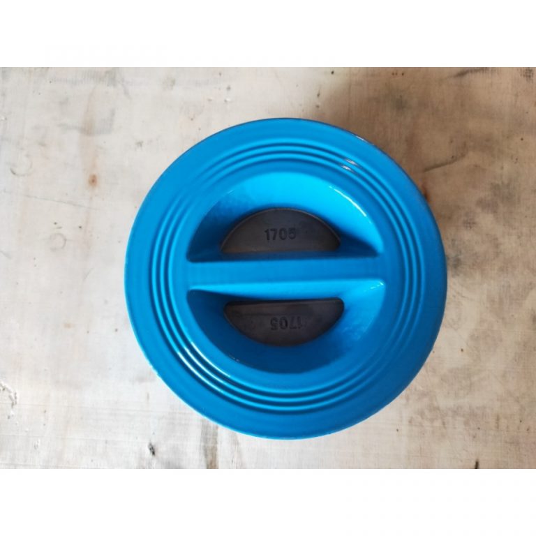 DUO Disc Check Valve (3)