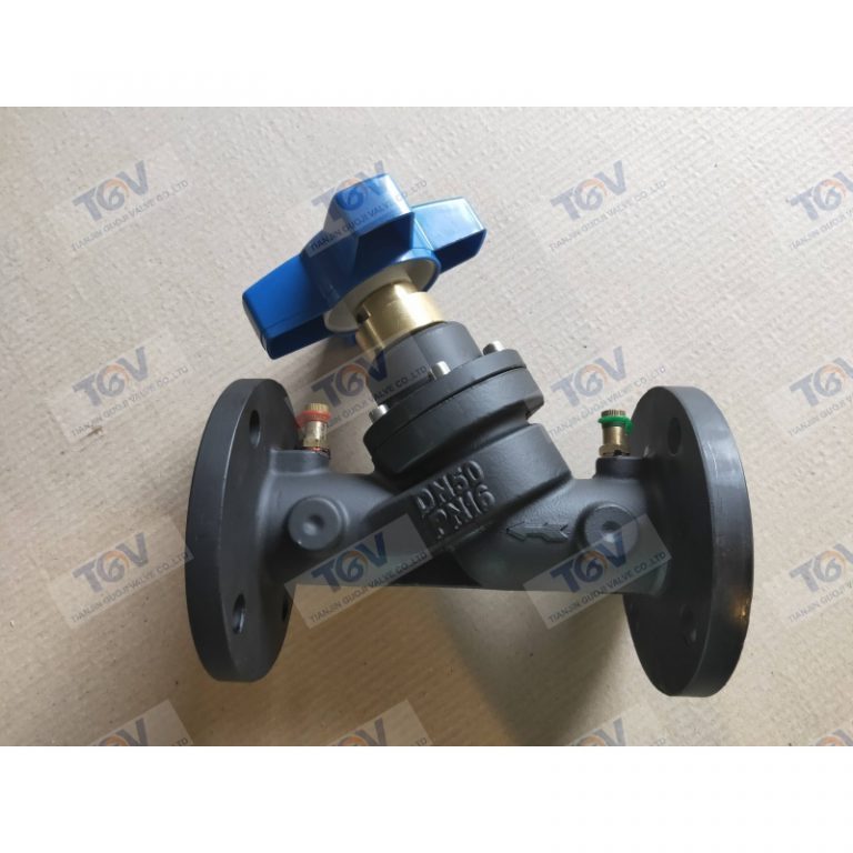 Válvula de equilibrio digital (válvula de regulación aislante) (2)