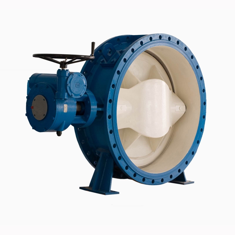Double Eccentric Butterfly Valve (1)