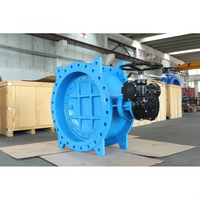 Double Eccentric Butterfly Valve (4)