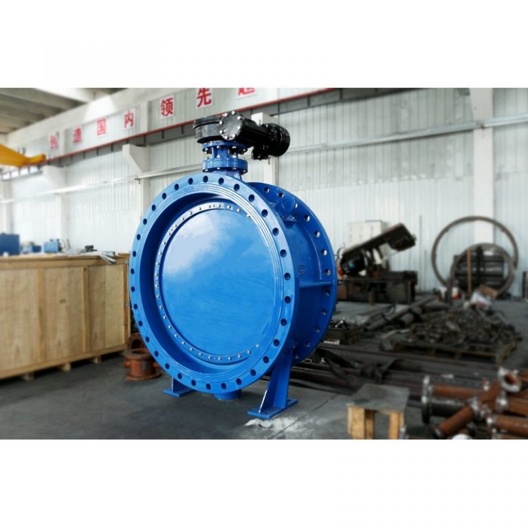 Double Eccentric Butterfly Valve (6)