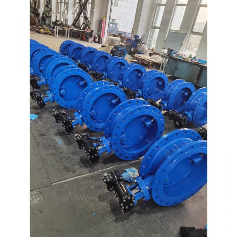 Double Eccentric Butterfly Valve (7)