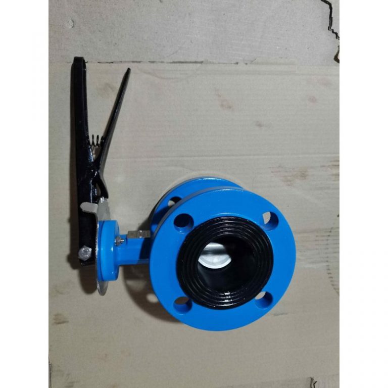 Double Flanged Butterfly Valve (1)