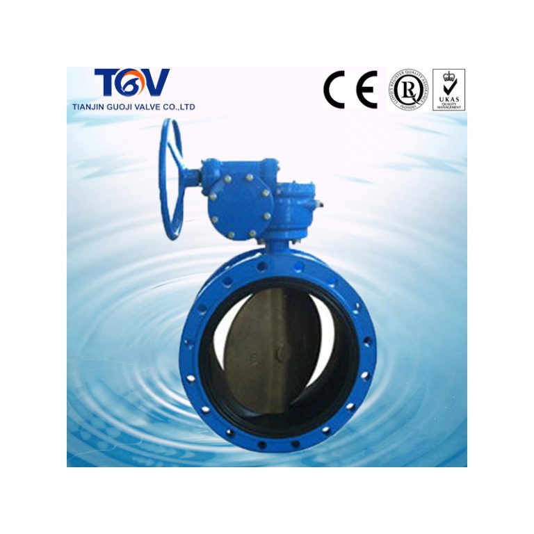 Double Flanged Butterfly Valve (3)