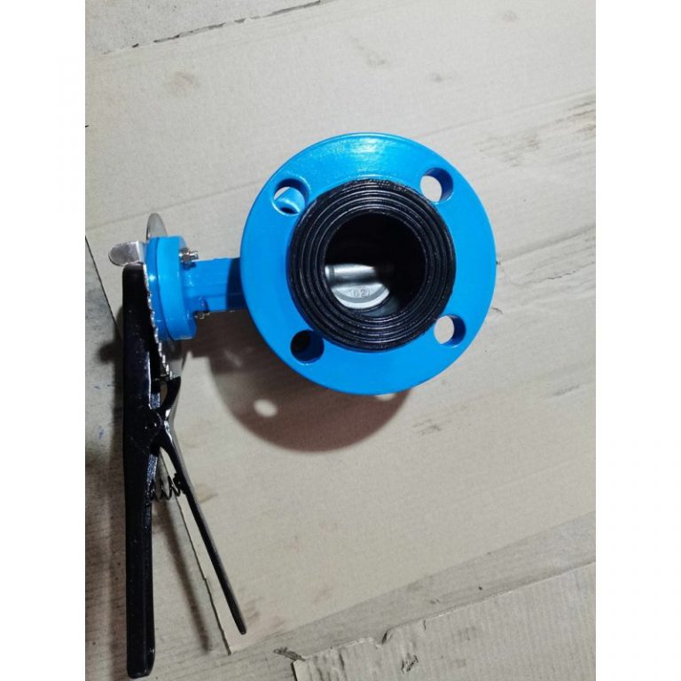 Double Flanged Butterfly Valve (7)