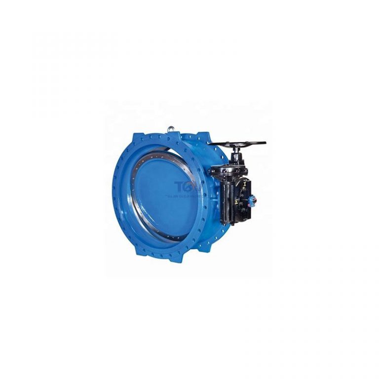 Double Offset Butterfly Valve (3)