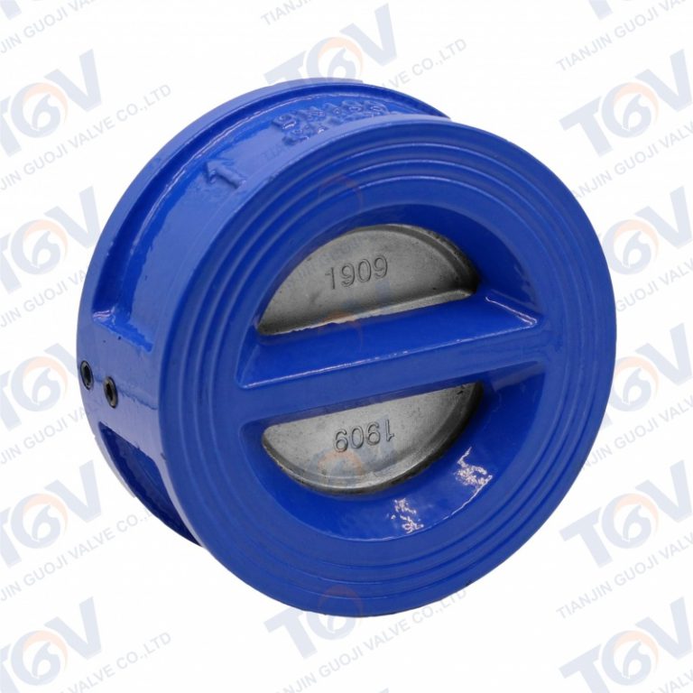 Doppelplattenrückschlagventil (3)