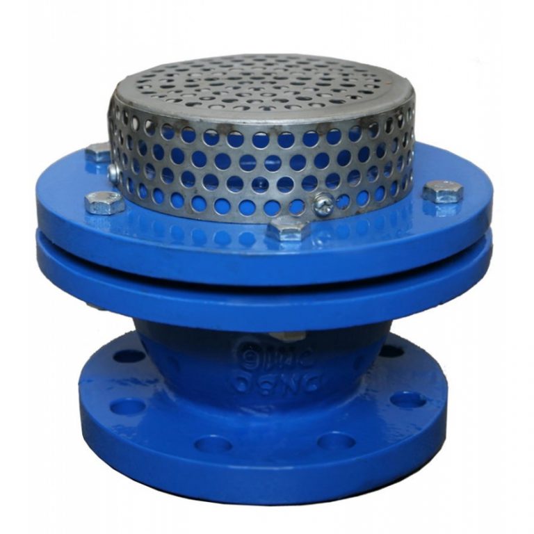 صمام القدم (1)