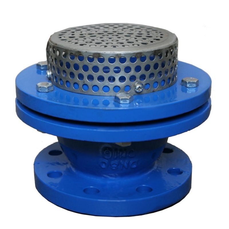 صمام القدم (1)