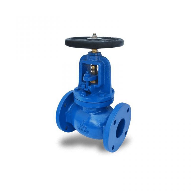 Globe Valve (ANSI) (1)
