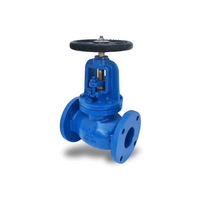 Globe Valve (ANSI) (1)