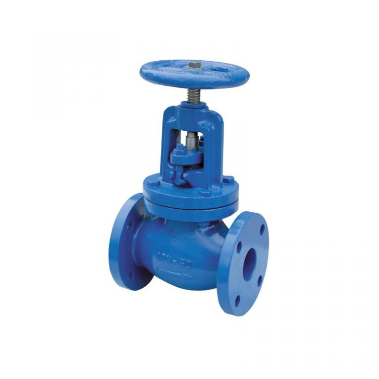 Globe Valve (BS) (1)