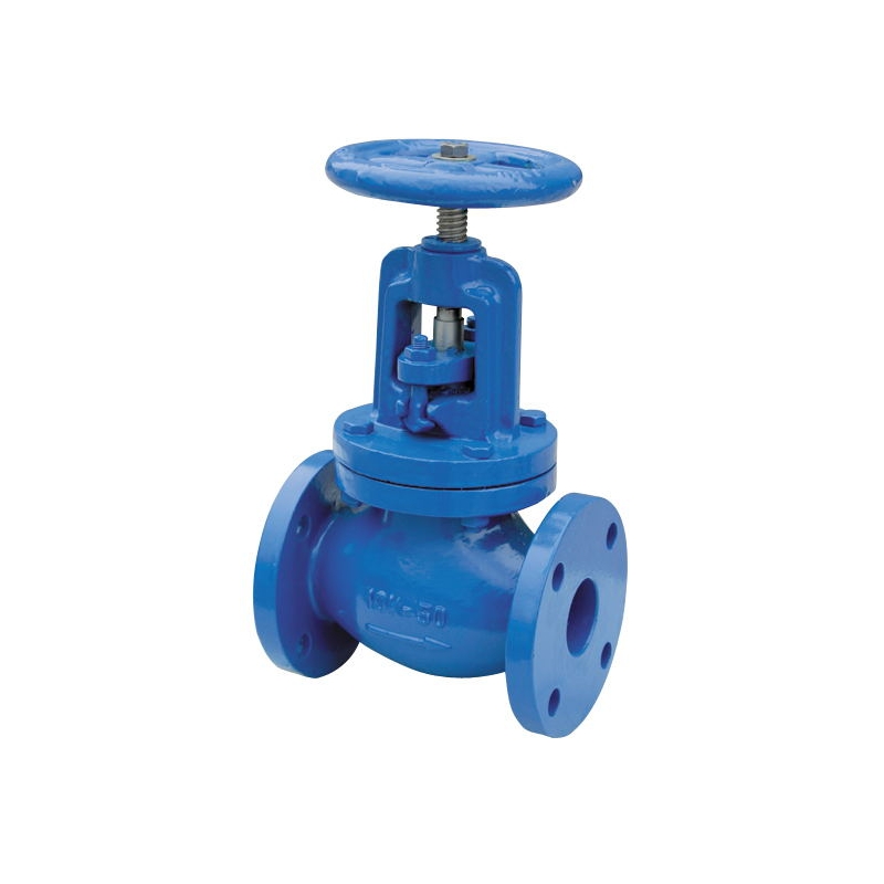 Globe Valve (BS) (1)