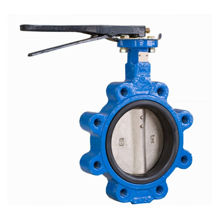 Lug butterfly valve (1)