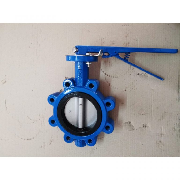 Lug butterfly valve (5)