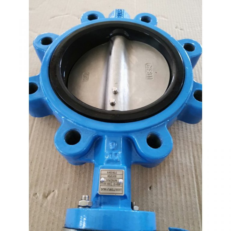 Lug butterfly valve (6)