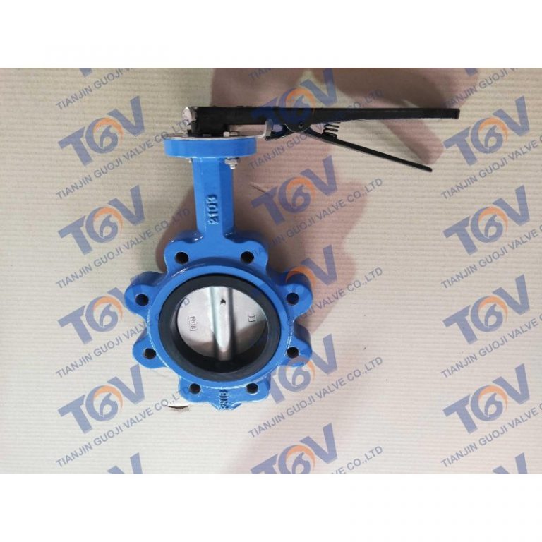 Lugged Butterfly Valve 1