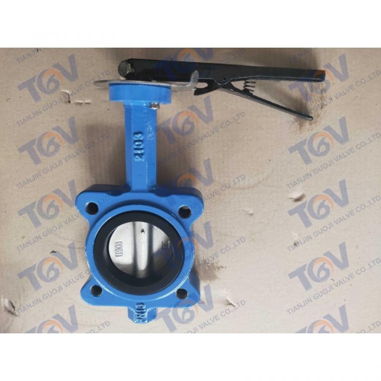 Lugged Butterfly Valve 2