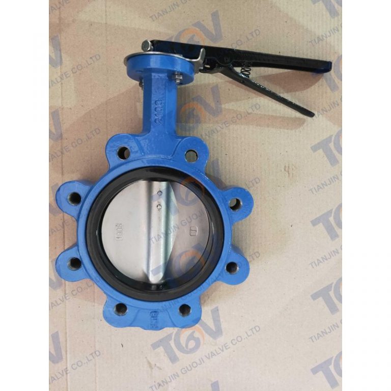 Lugged Butterfly Valve 3