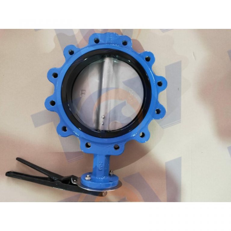 Lugged Butterfly Valve 4