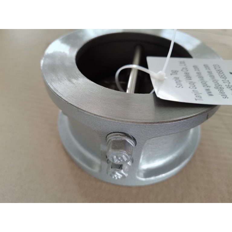 Metal Seated Wafer Dual Plate Check Valve (2)