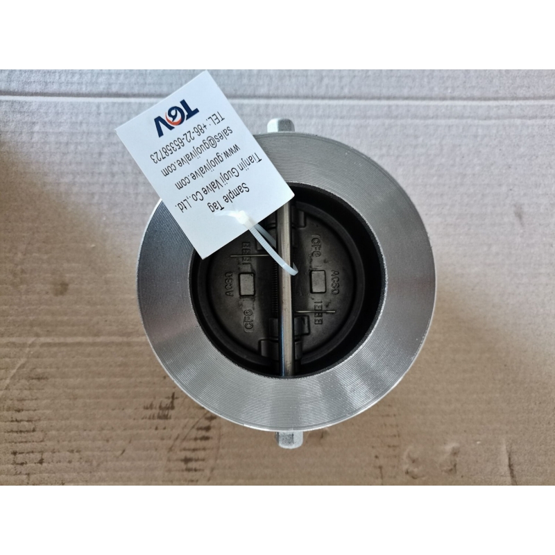 Metal Seated Wafer Dual Plate Check Valve (8)
