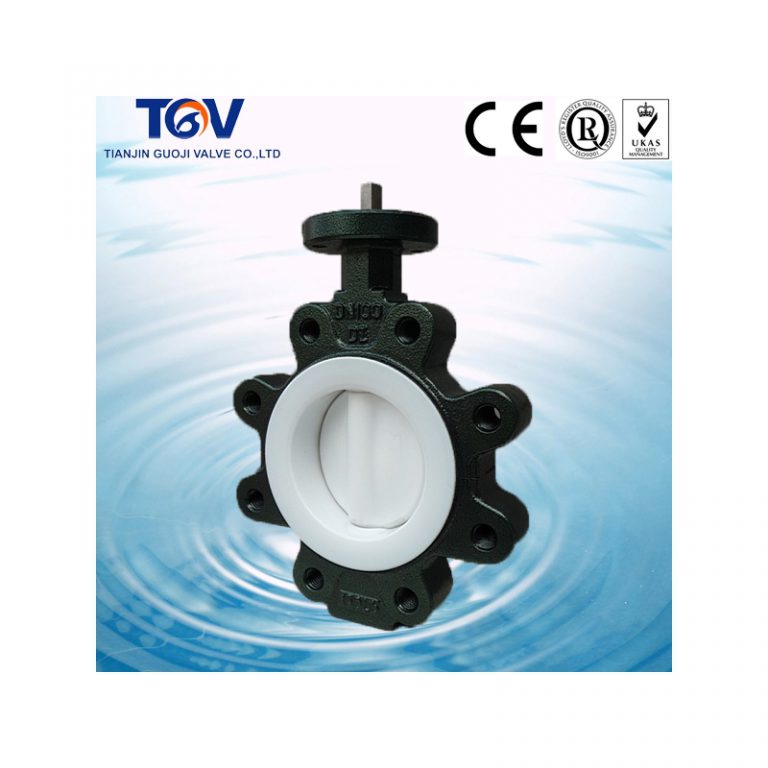 PTFE Coated Butterfly Valve (Lug Type) (1)