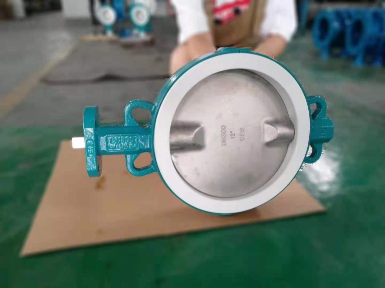 PTFE Coated Butterfly Valve (Wafer Type) (1)