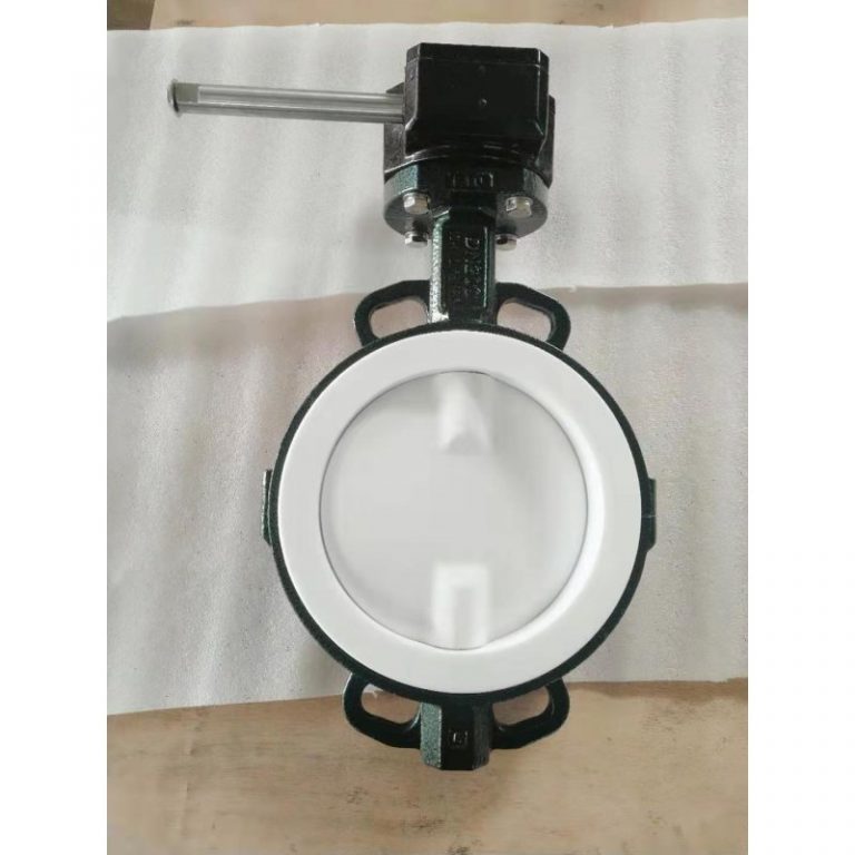 PTFE Coated Butterfly Valve (Wafer Type) (6)