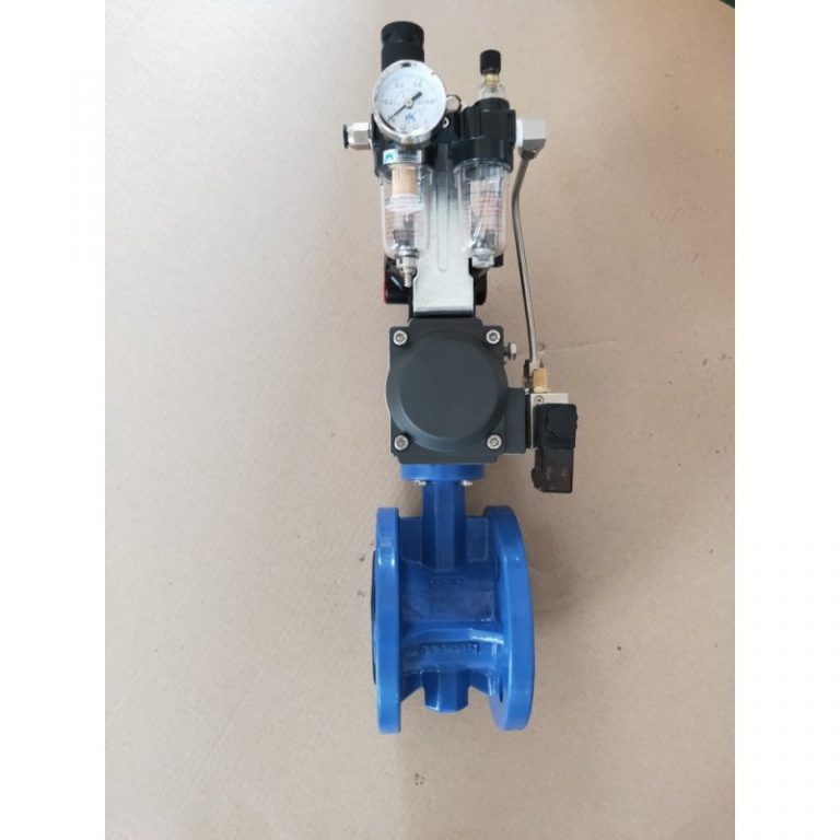 Pneumatic Butterfly Valve 3