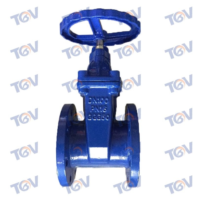 Resilient Gate Valve (3)