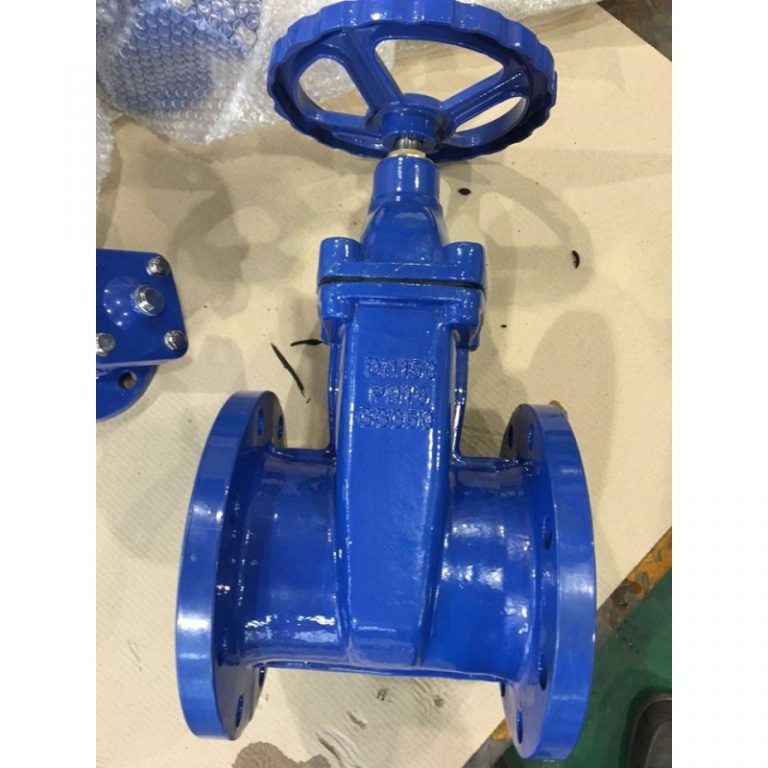 Resilient Gate Valve (4)
