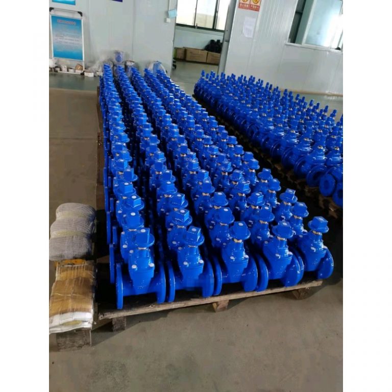 Resilient Gate Valve (6)