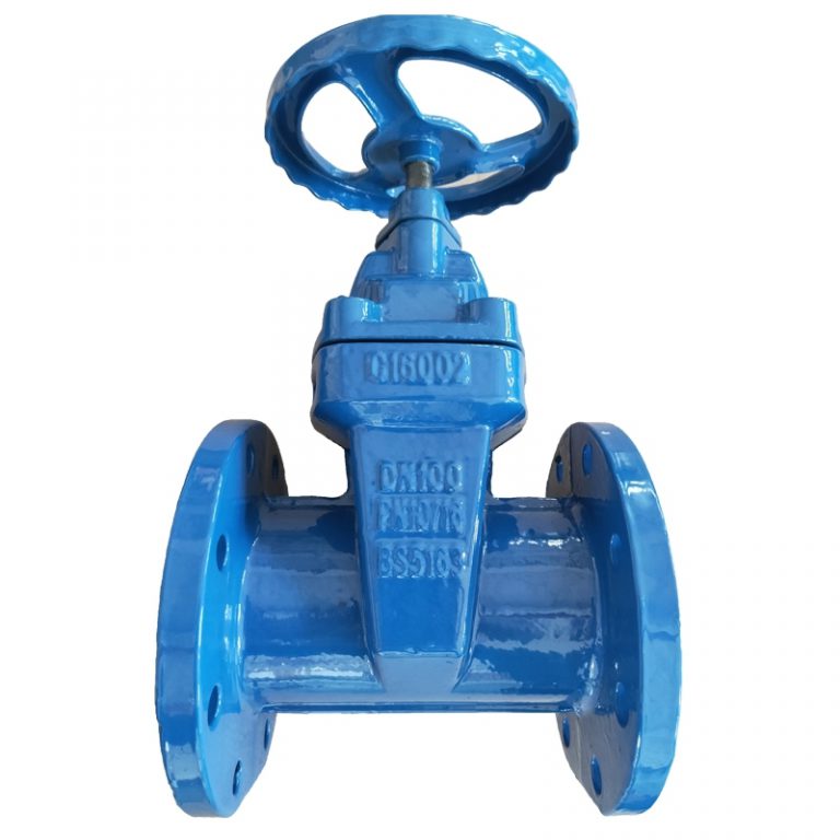 Resilient Gate Valve Non-Rising Stem(BS5163) (2)