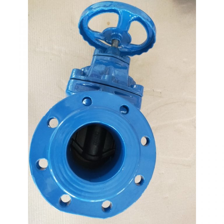 Resilient Gate Valve Non-Rising Stem(BS5163) (3)