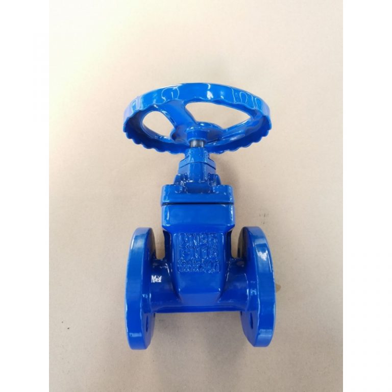Resilient Seat Non-Rising Stem Gate Valve (DIN F4) (3)